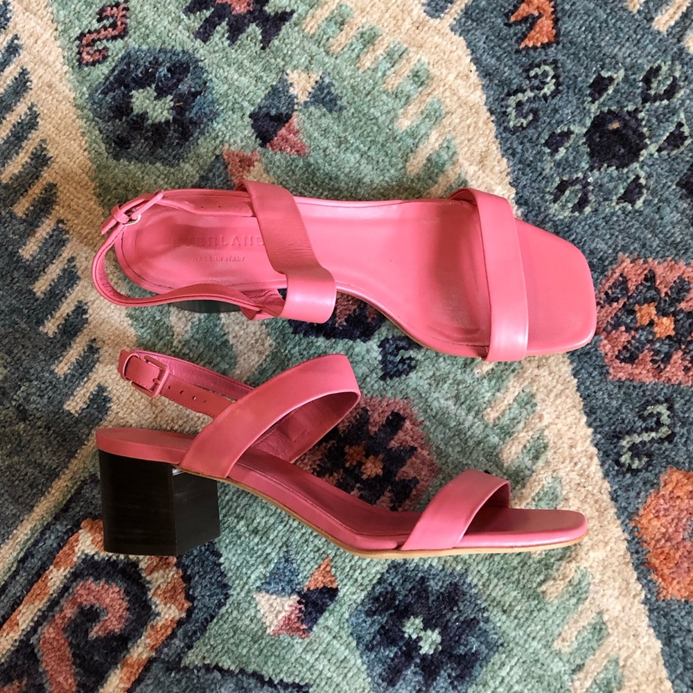 Everlane Double Strap Block Heel Sandal